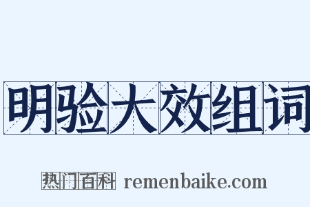 明验大效组词是什么意思的图片